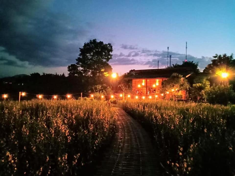 Mazipai Camping Villa Eksteriør billede